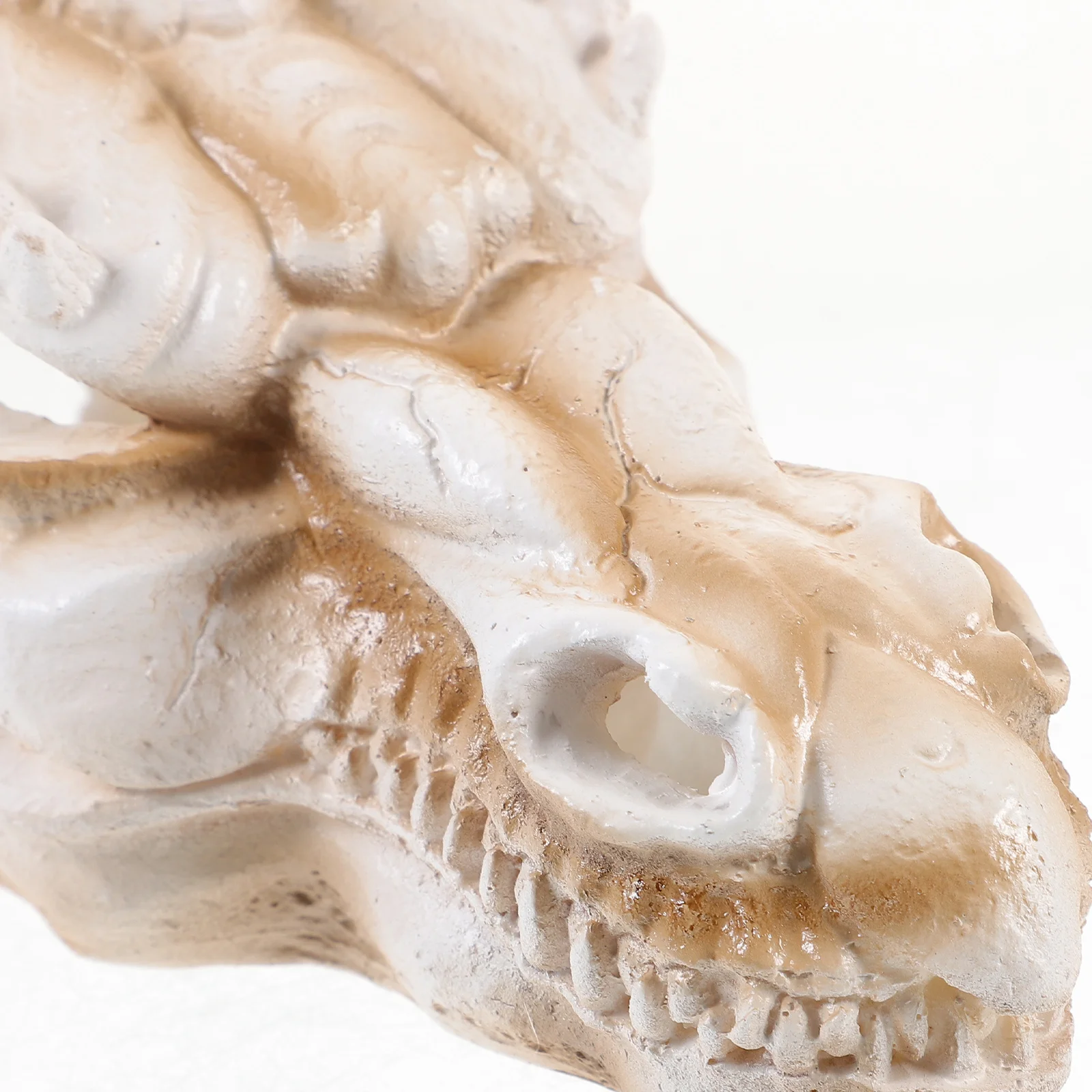 Dragon Skull Statue Fine Workmanship Resin Material for Home Office Decor Desktop Tabletop Ornament Unique Artistic Statement
Dragon Skull Statue Fine Workmanship Resin Material for Home Office Decor Desktop Tabletop Ornament Unique Artistic Statement