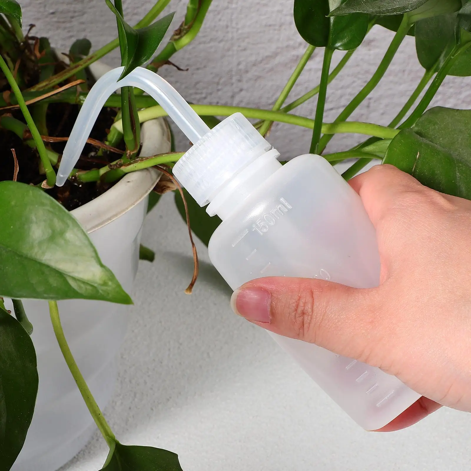 3 Pcs 150ml White Plastic Wash Bottles Small Squeeze Watering Containers for Indoor Tattoo Tools
3 Pcs 150ml White Plastic Wash Bottles Small Squeeze Watering Containers for Indoor Tattoo Tools