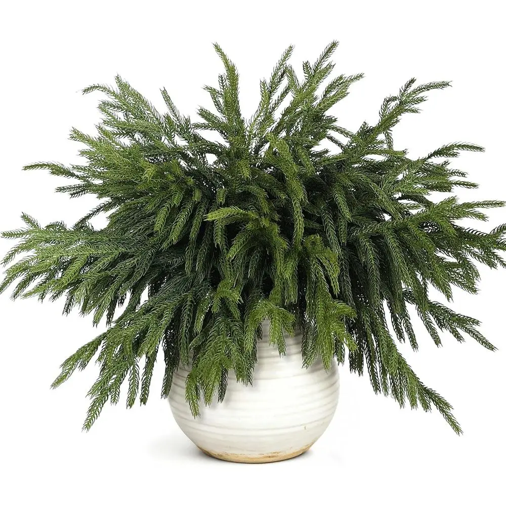 18 Artificial Norfolk Pine Branches, 40 Stems for DIY Greenery, Vase Fillers, Wreaths, and Home Decor
18 Artificial Norfolk Pine Branches, 40 Stems for DIY Greenery, Vase Fillers, Wreaths, and Home Decor