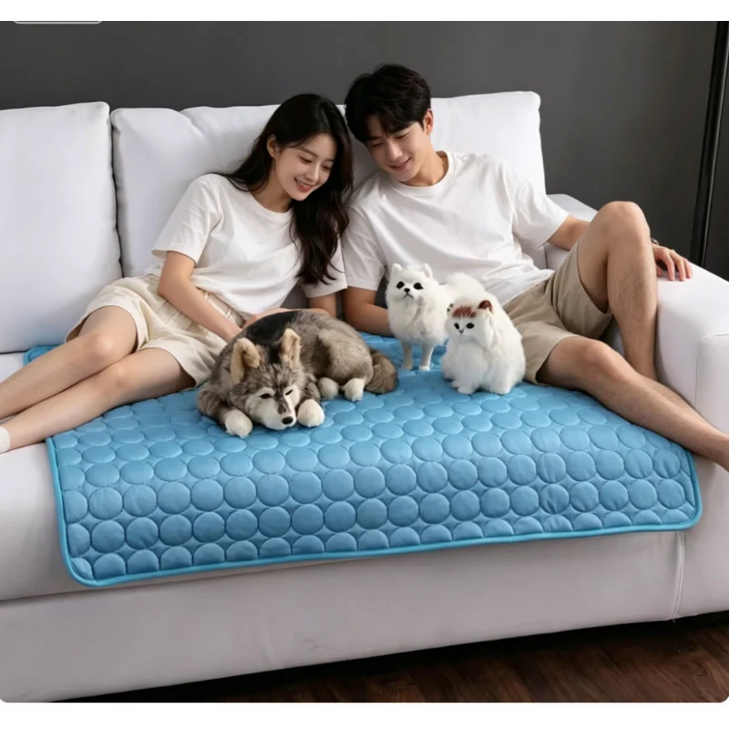 Summer Pet Cooling Mat Durable Ice Pad Extra Large Breathable Cold Bed For Dogs Cats Sofa Sleeping Blanket Accessory
Summer Pet Cooling Mat Durable Ice Pad Extra Large Breathable Cold Bed For Dogs Cats Sofa Sleeping Blanket Accessory