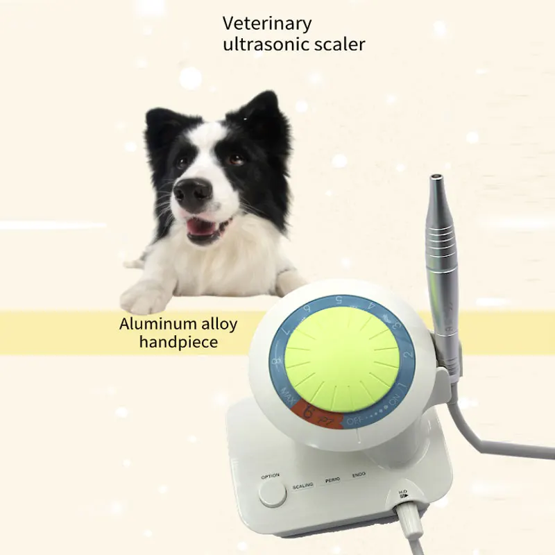 Dog Pet Scaler Electric Toothbrush Tooth Polisher Dental Cleaner Puppy Plaque Stains And Whitening Tools
Dog Pet Scaler Electric Toothbrush Tooth Polisher Dental Cleaner Puppy Plaque Stains And Whitening Tools