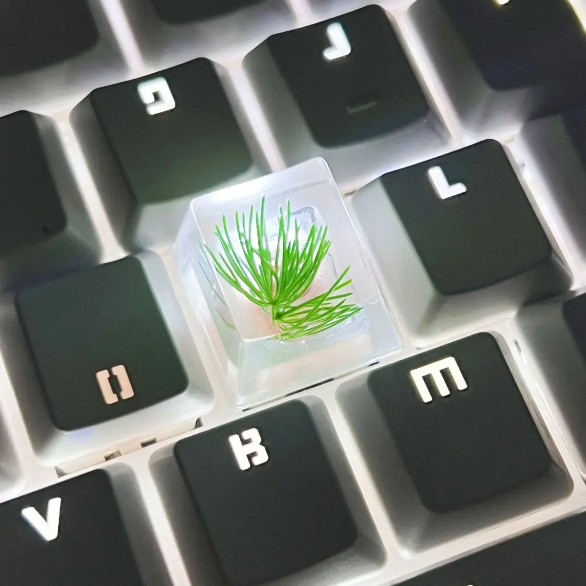 Pine needle flower keycap oem r4 original cute real flower cross shaft keycap universal
Pine needle flower keycap oem r4 original cute real flower cross shaft keycap universal