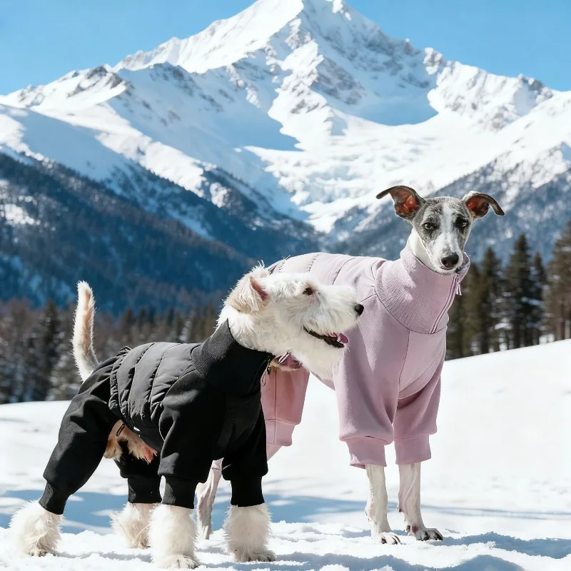 Winter Outdoor Warm Whippet Dogs Coats Jacket Sports Small Medium Large Fox Terrier Clothes Cotton Coats Puppy Pet Clothes
Winter Outdoor Warm Whippet Dogs Coats Jacket Sports Small Medium Large Fox Terrier Clothes Cotton Coats Puppy Pet Clothes