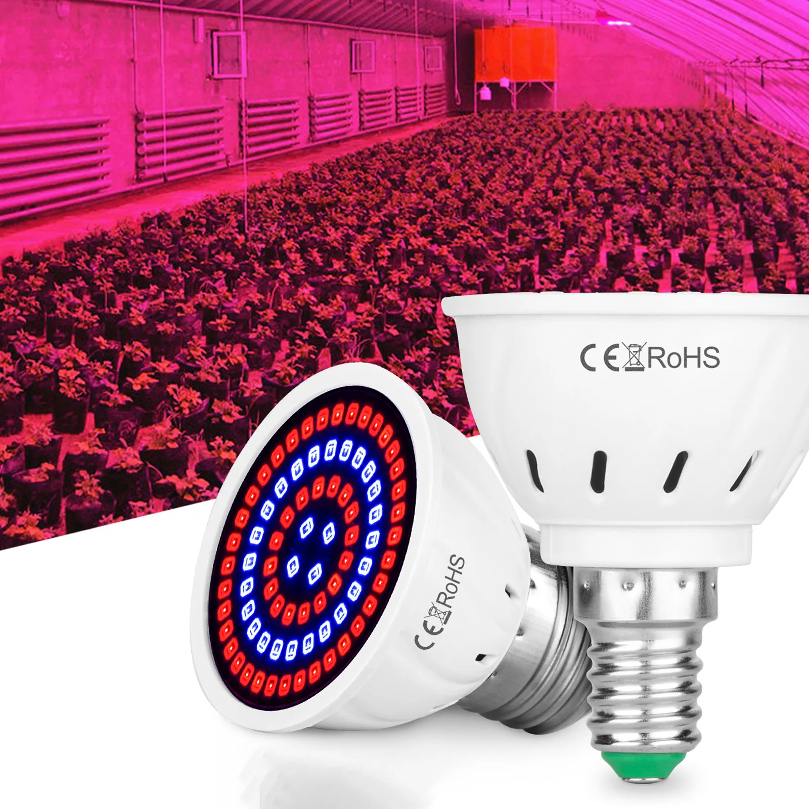 E27 LED Red and Blue Phytolamp for Plant 48/60/80 Beads LED Light Bulb Succulent Plant Light Seedling Growth Lamp Blub
E27 LED Red and Blue Phytolamp for Plant 48/60/80 Beads LED Light Bulb Succulent Plant Light Seedling Growth Lamp Blub