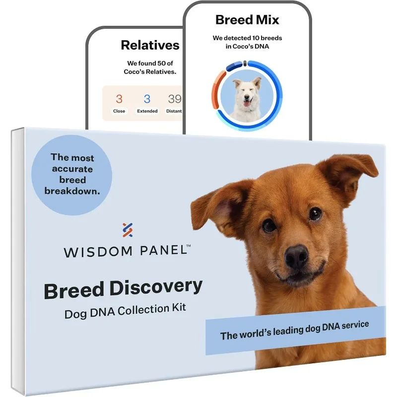Wisdom Panel Breed Discovery Dog DNA Kit: Most Accurate Dog Breed Identification, Test for 365+ Breeds, MDR1 Health Test
Wisdom Panel Breed Discovery Dog DNA Kit: Most Accurate Dog Breed Identification, Test for 365+ Breeds, MDR1 Health Test