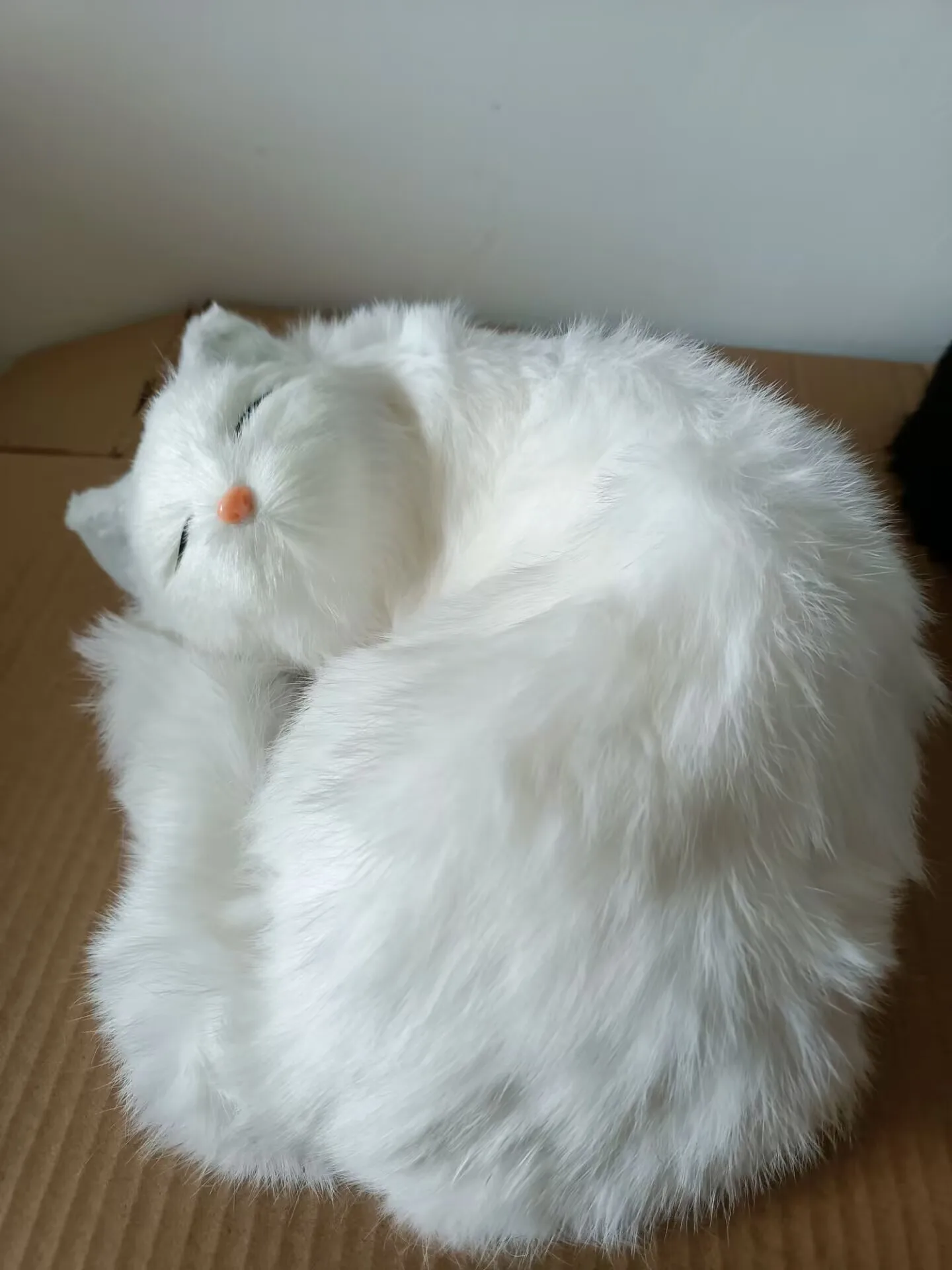Белая модель кошки из пластика и меха, украшение для дома спящего кота, подарок около 25x21 см d0535
Белая модель кошки из пластика и меха, украшение для дома спящего кота, подарок около 25x21 см d0535