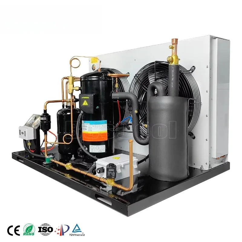 Closed scroll variable frequency compressor open air cooling condensing unit walk-in freezer refrigeration
Closed scroll variable frequency compressor open air cooling condensing unit walk-in freezer refrigeration