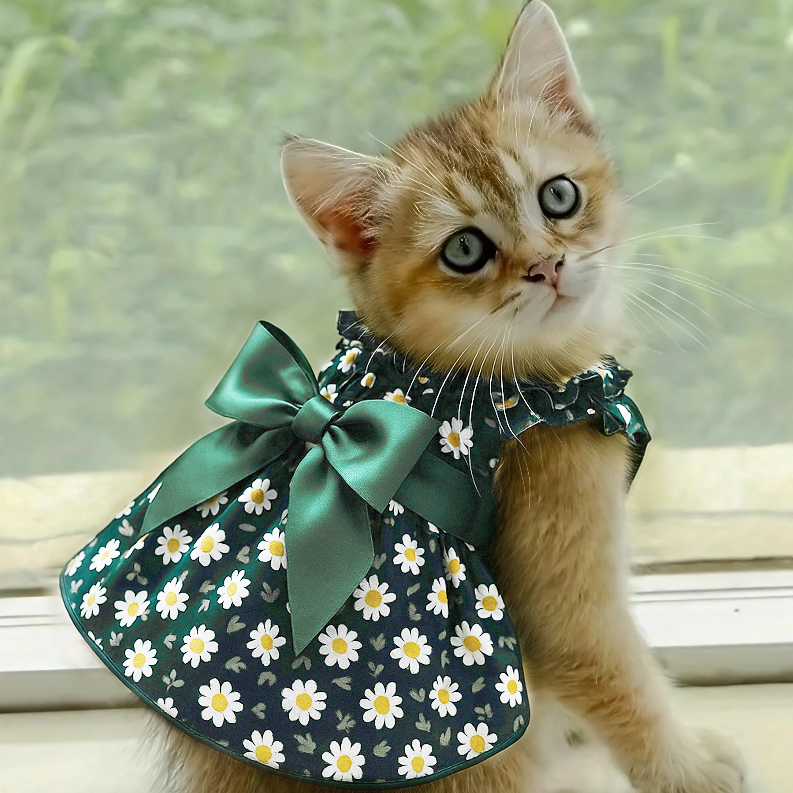 Fashion Cat Pet Dog Dress Sleeveless Cyan Flower Slim Style Cat Princess Dog Dresses Summer Clothes Puppy Skirt Chihuahua Bichon
Fashion Cat Pet Dog Dress Sleeveless Cyan Flower Slim Style Cat Princess Dog Dresses Summer Clothes Puppy Skirt Chihuahua Bichon