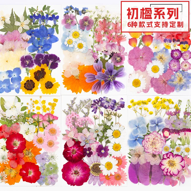 Natural Real Flower Plant Specimens, Dried Flower Pressing Material Kit, Pressed Flower Bookmarks, Resin-Dried Flower Phone Case, Pressed Flower DIY Material Kit, Photo Frame Stickers
Natural Real Flower Plant Specimens, Dried Flower Pressing Material Kit, Pressed Flower Bookmarks, Resin-Dried Flower Phone Case, Pressed Flower DIY Material Kit, Photo Frame Stickers