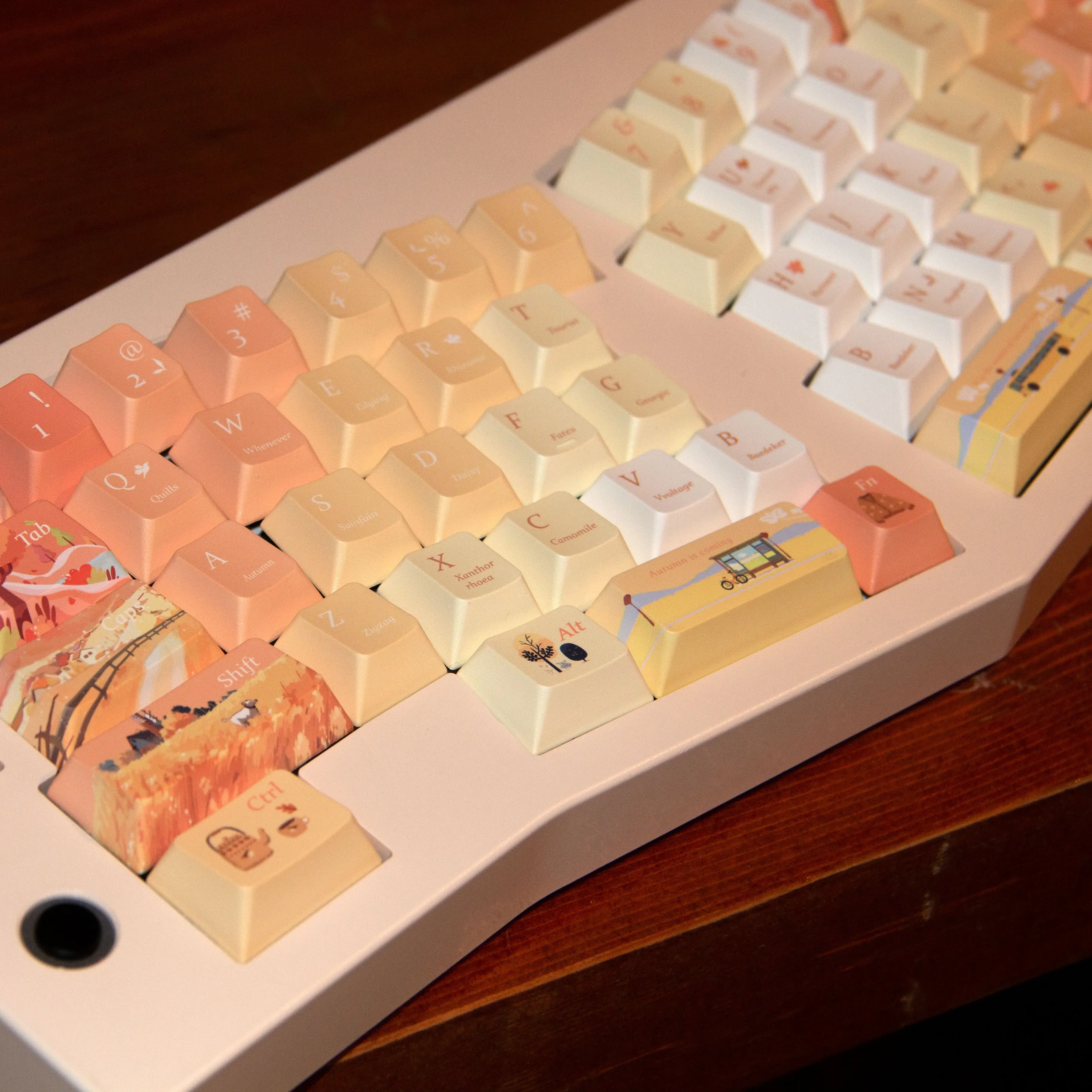 Taqiufeng Cherry Moa Pbt Full Five-Sided Thermal Sublimation Autumn Orange Side Engraved Rounded Gradient Color Diy Keycap
Taqiufeng Cherry Moa Pbt Full Five-Sided Thermal Sublimation Autumn Orange Side Engraved Rounded Gradient Color Diy Keycap