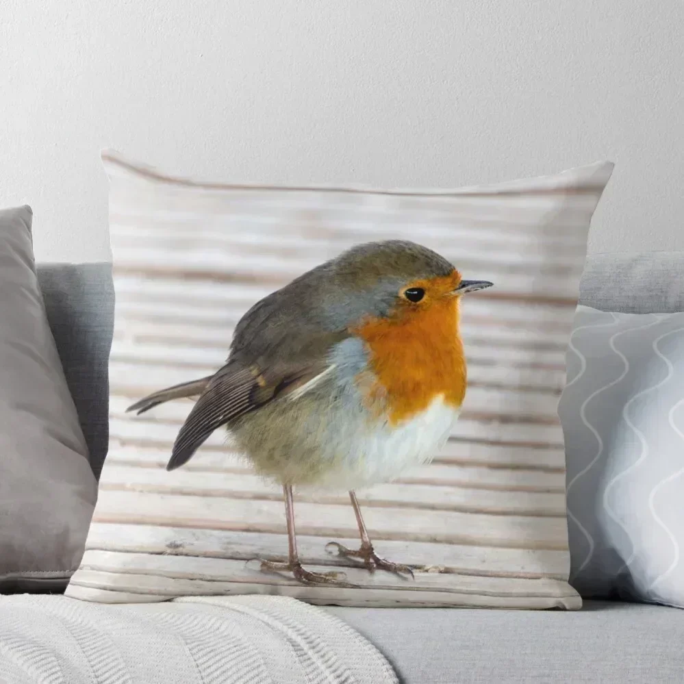 Robin Throw Pillow Luxury Cushion Cover Sofa Covers For Living Room Ornamental Pillow Covers For Sofas pillow
Robin Throw Pillow Luxury Cushion Cover Sofa Covers For Living Room Ornamental Pillow Covers For Sofas pillow