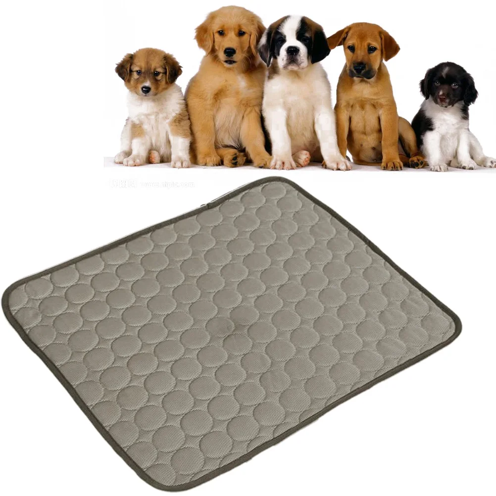 Pet Summer Ice Mat Cooling Bed Cool Pad for Dog Cat Breathable Mesh Fabric Indoor Outdoor Use Soft Material Pet Supplies
Pet Summer Ice Mat Cooling Bed Cool Pad for Dog Cat Breathable Mesh Fabric Indoor Outdoor Use Soft Material Pet Supplies