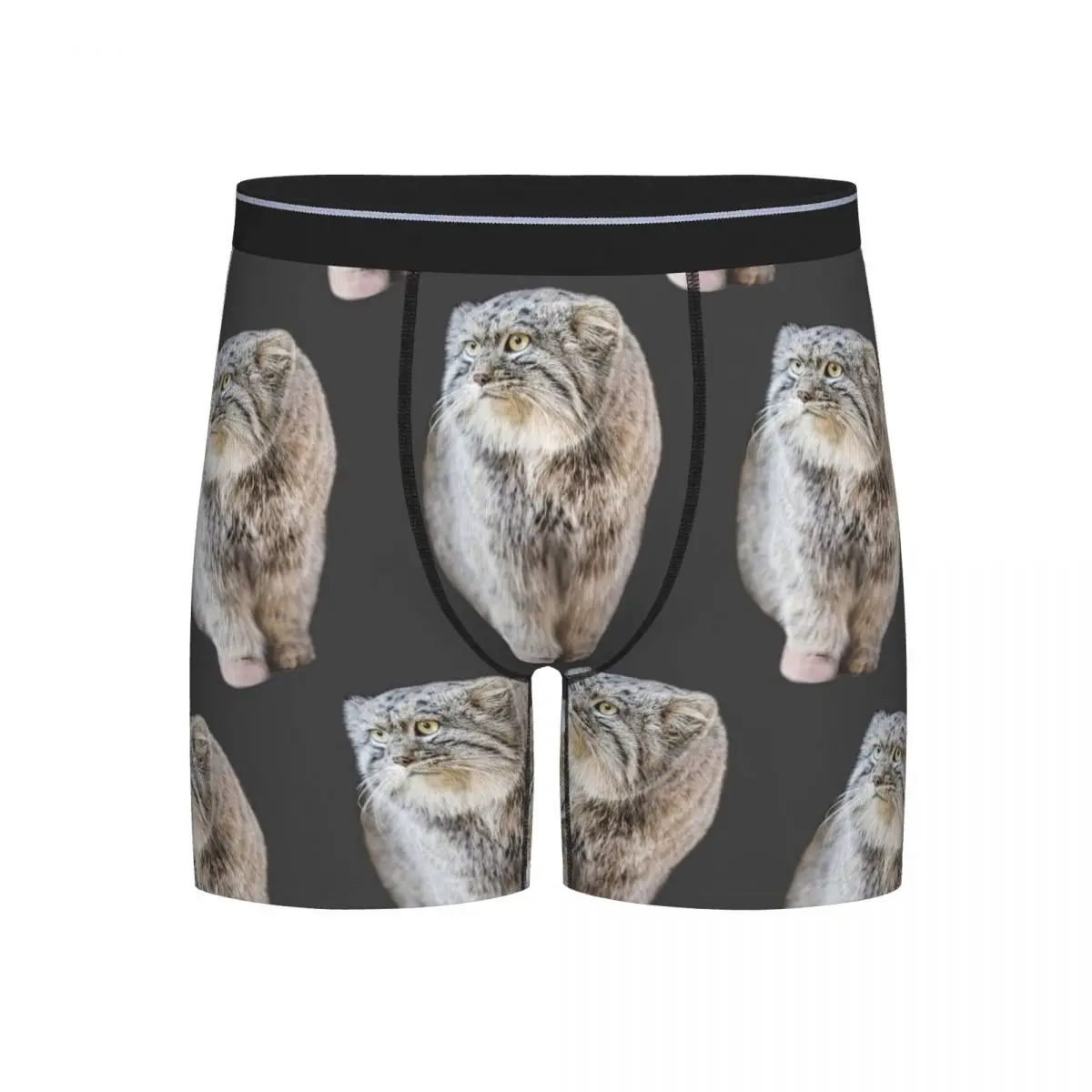 Длинные трусы-боксеры, шорты, круглые трусики Pallas Cat, мужское удобное нижнее белье для Homme, мужской подарок бойфренду
Длинные трусы-боксеры, шорты, круглые трусики Pallas Cat, мужское удобное нижнее белье для Homme, мужской подарок бойфренду