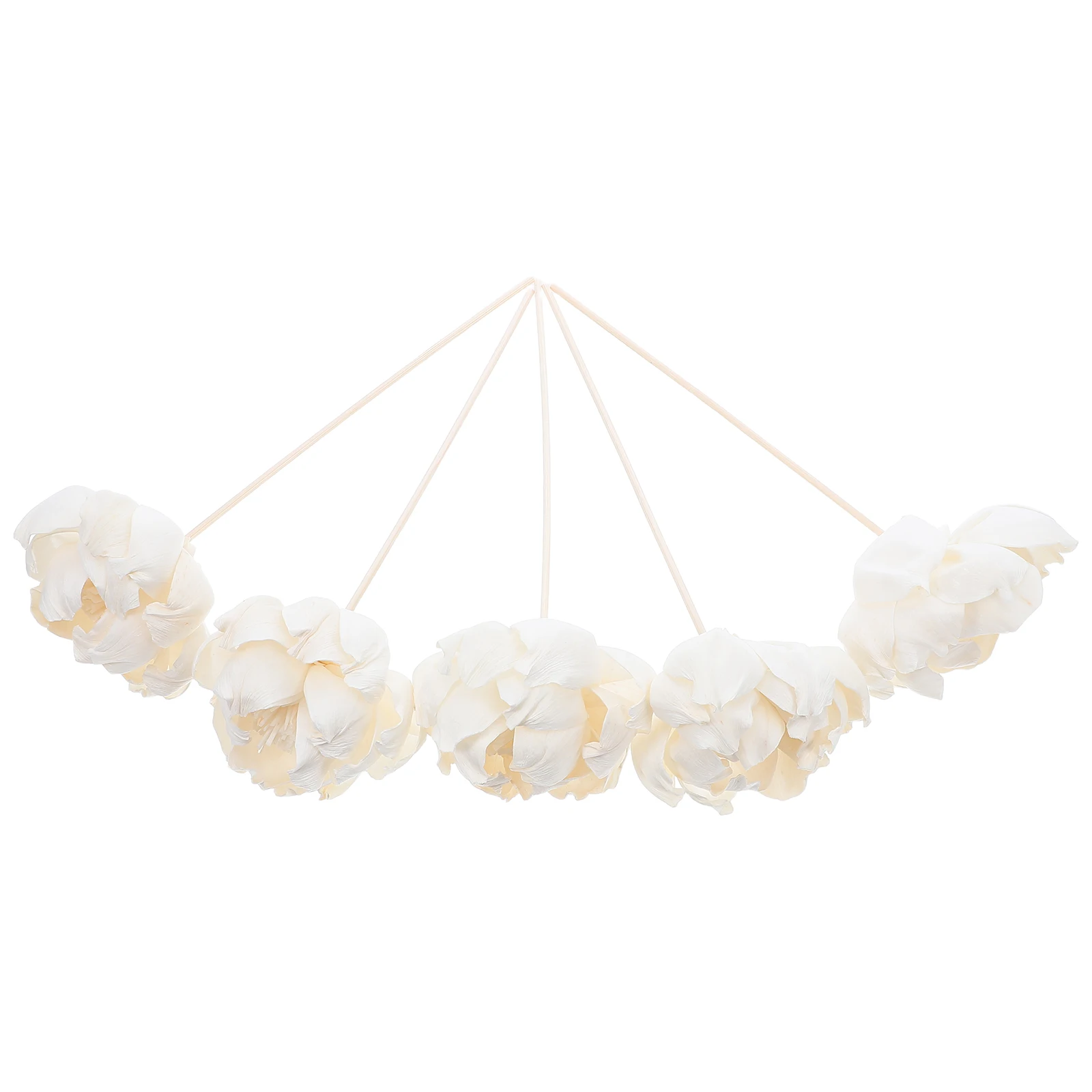 5Pcs Peony Flower Diffuser Sticks Elegant Home Fragrance Decor for Bedrooms Bathrooms Kitchens Offices Cars Flower Sticks
5Pcs Peony Flower Diffuser Sticks Elegant Home Fragrance Decor for Bedrooms Bathrooms Kitchens Offices Cars Flower Sticks