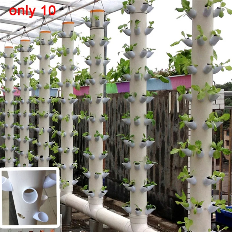 AA01-10 Sets Hydroponic Soil-Free Growing System DIY Hydroponic Nursery Garden Kit
AA01-10 Sets Hydroponic Soil-Free Growing System DIY Hydroponic Nursery Garden Kit