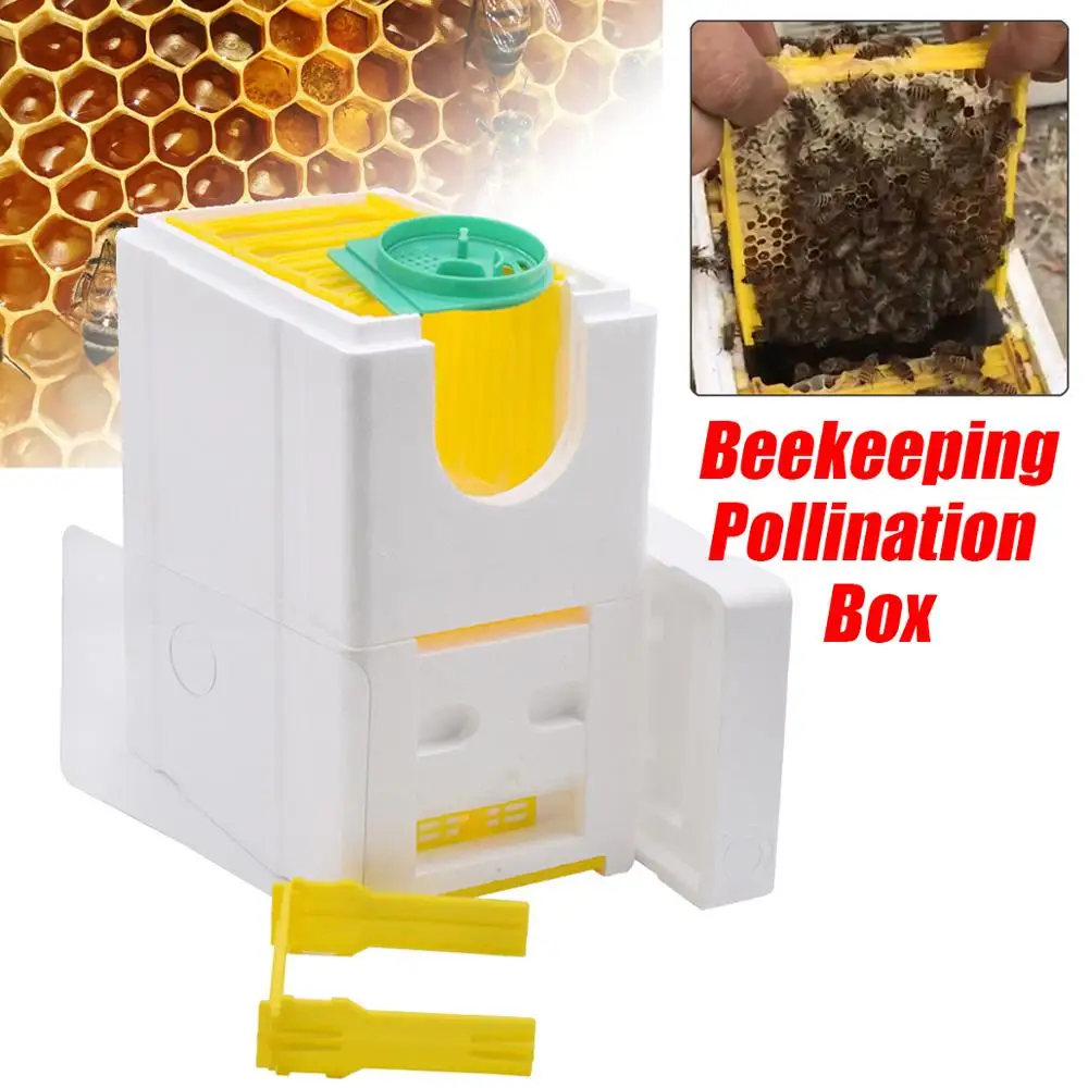 Auto Beekeeping Queen Rearing Box Supplies Beehive Foam Double layer Tool
Auto Beekeeping Queen Rearing Box Supplies Beehive Foam Double layer Tool