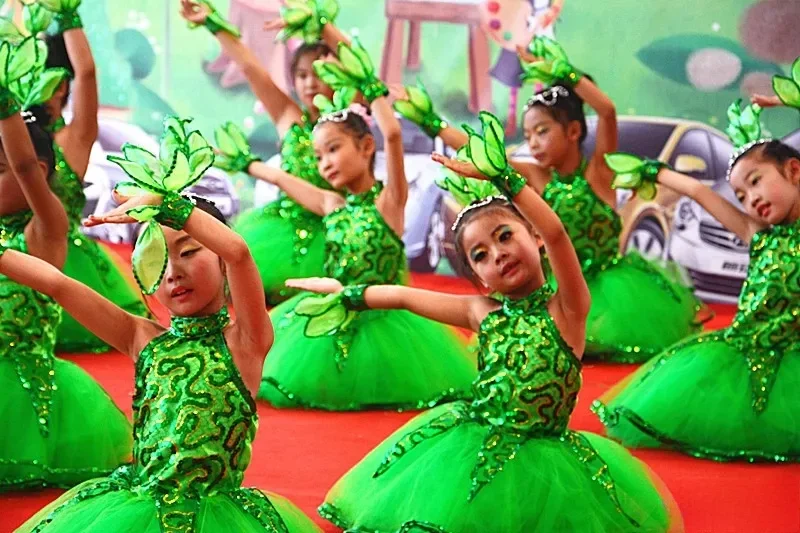 Chinese Wind Dance Costume Little Tree Dance Dress Performance Costume Child Leaf Costume Collective Stage Performance Clothes
Chinese Wind Dance Costume Little Tree Dance Dress Performance Costume Child Leaf Costume Collective Stage Performance Clothes