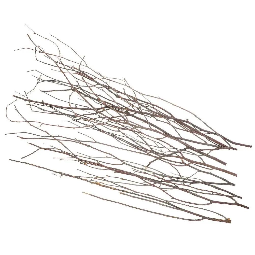 12 Pcs Decorative Dried Branches Birch Twigs 50cm White Vase Filler Home Ornament Plants Simulation Photo Props
12 Pcs Decorative Dried Branches Birch Twigs 50cm White Vase Filler Home Ornament Plants Simulation Photo Props
