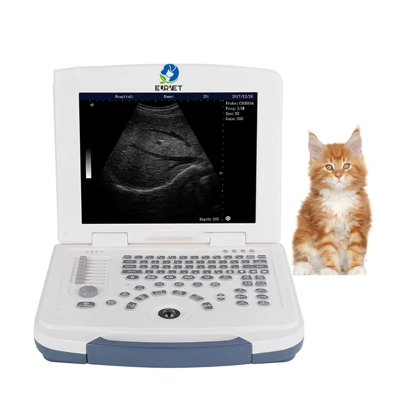 Portable Veterinary Ultrasound Animal Pregnancy Sheep Pregnancy Ultrasound Scanner
Portable Veterinary Ultrasound Animal Pregnancy Sheep Pregnancy Ultrasound Scanner