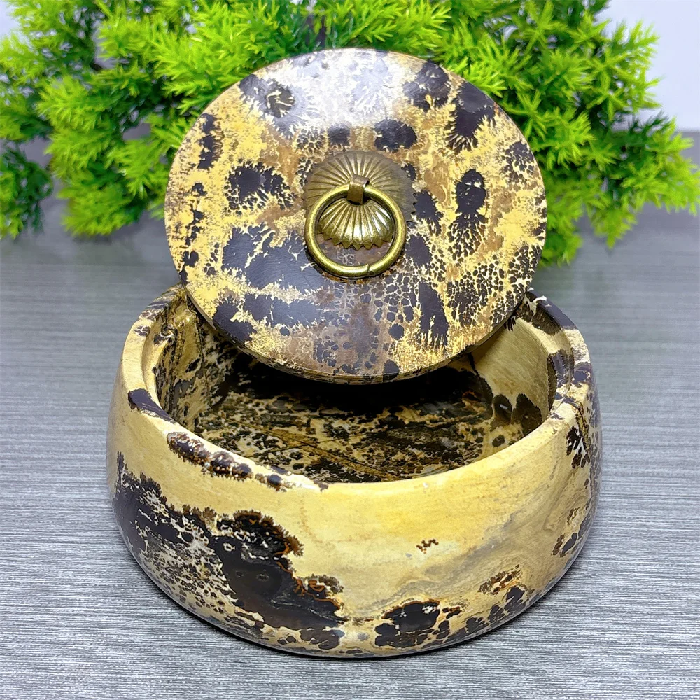 Picture Branch Container Natural Crystal Home Decoritems Room decor Luck Quartz Stone Garden Reiki Healing Energy Love Gifts
Picture Branch Container Natural Crystal Home Decoritems Room decor Luck Quartz Stone Garden Reiki Healing Energy Love Gifts