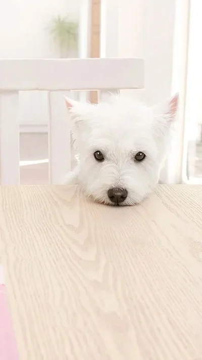 2.2-дюймовый колесный диск с бедлоком для радиоуправляемых машин 1/8 масштаба Wraith 90018 90053 90048 Hammer Rey 4WD TRX-4 TRX-6 SCX10 D90
2.2-дюймовый колесный диск с бедлоком для радиоуправляемых машин 1/8 масштаба Wraith 90018 90053 90048 Hammer Rey 4WD TRX-4 TRX-6 SCX10 D90