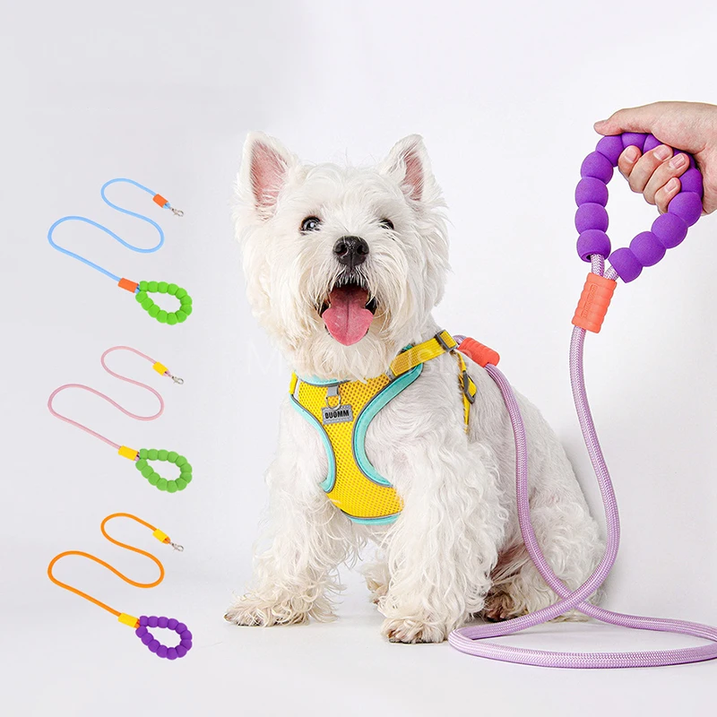 Multi-Color Nylon Dog Leash with Soft Foam Handle Anti-lost Heavy Duty Training Leash for Small Medium Dogs Hot Sale Wholesale
Multi-Color Nylon Dog Leash with Soft Foam Handle Anti-lost Heavy Duty Training Leash for Small Medium Dogs Hot Sale Wholesale