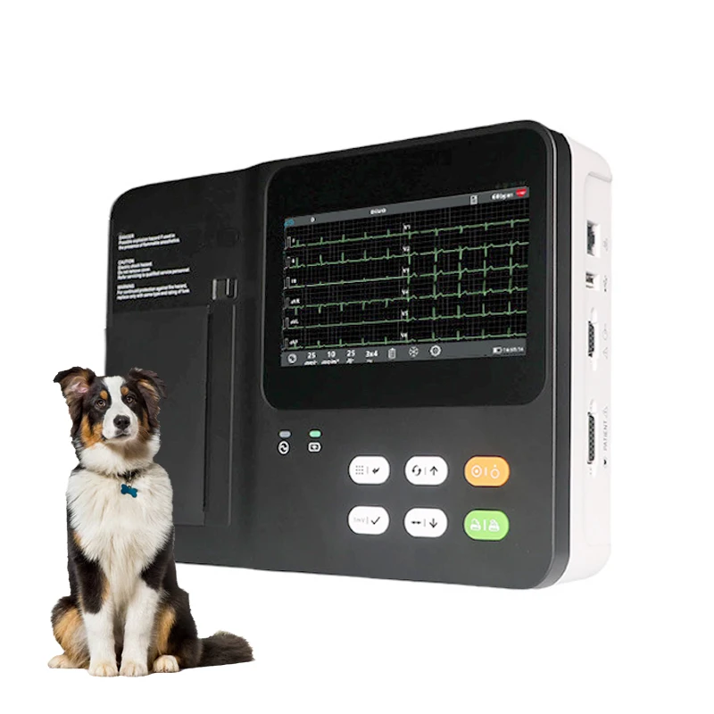 Portable Veterinary Ecg Machine 3 Channel Monitoring Ecg Machine Dog Cat Pet Ecg Machine
Portable Veterinary Ecg Machine 3 Channel Monitoring Ecg Machine Dog Cat Pet Ecg Machine