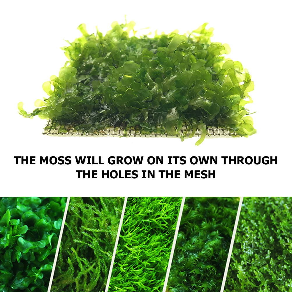 12pcs Stainless Steel Moss Mesh Durable Aquarium Decor 8cmx8cm Fish Tank Plant Pad Wire Grid Easy Cleaning Eco Friendly Pet
12pcs Stainless Steel Moss Mesh Durable Aquarium Decor 8cmx8cm Fish Tank Plant Pad Wire Grid Easy Cleaning Eco Friendly Pet