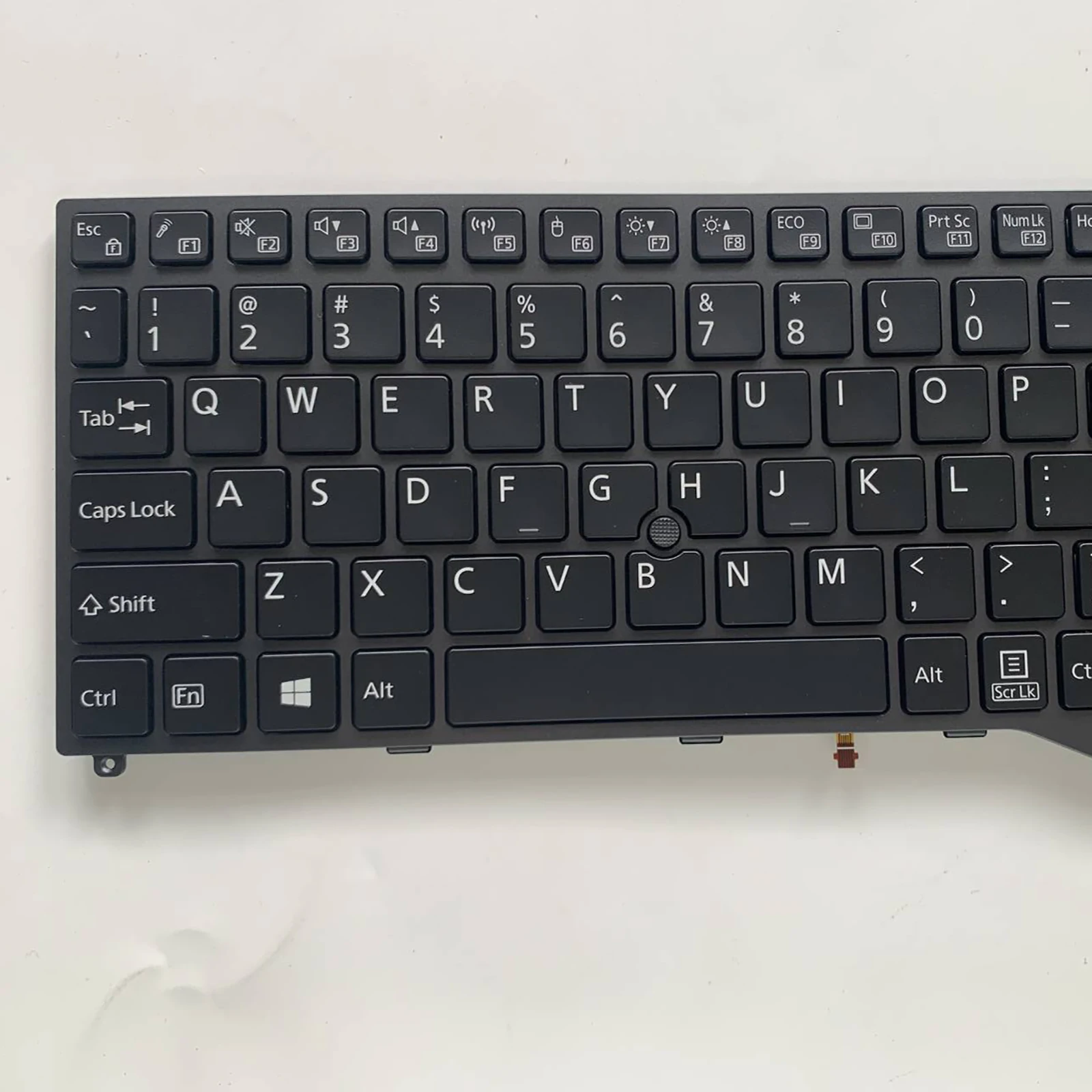 for FUJITSU LIFEBOOK E559 E458 E459 U757 U758 U759 E558 Laptop keyboard US Layout
for FUJITSU LIFEBOOK E559 E458 E459 U757 U758 U759 E558 Laptop keyboard US Layout