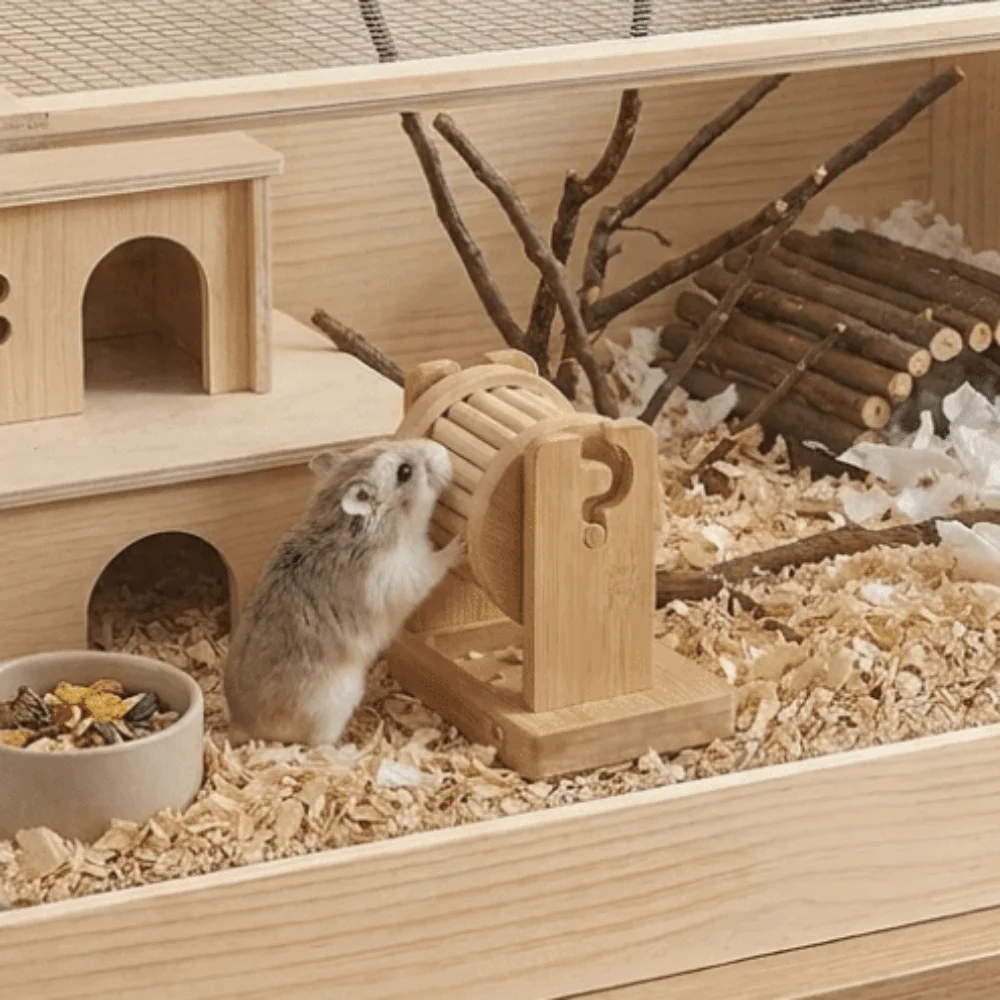 Wood Hamster Foraging Toy Interactive Non-Toxic Treat Dispenser Funny Chew-Resistant Wooden Pet Toy For Hamster Rabbit
Wood Hamster Foraging Toy Interactive Non-Toxic Treat Dispenser Funny Chew-Resistant Wooden Pet Toy For Hamster Rabbit
