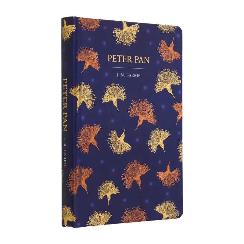 Детский класс Питер Пэн Джеймс Мэтью Барри Детское издательство 9781914602078 Книга
Детский класс Питер Пэн Джеймс Мэтью Барри Детское издательство 9781914602078 Книга