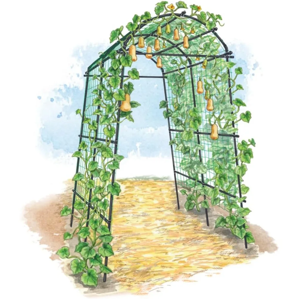 Gardener’s Supply Company Extra Tall Garden Arch Arbor | 80 Inch Tall Titan Squash Tunnel | Lightweight Metal, Trellis Plant Sta
Gardener’s Supply Company Extra Tall Garden Arch Arbor | 80 Inch Tall Titan Squash Tunnel | Lightweight Metal, Trellis Plant Sta