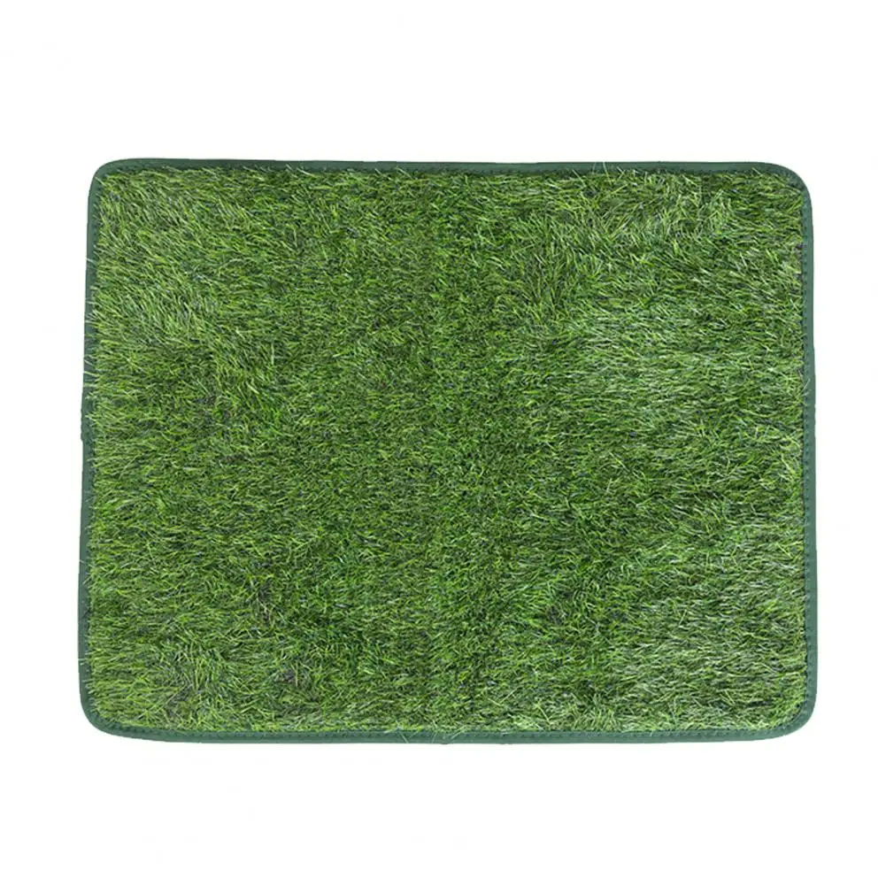 Quick Absorption Pet Urine Mat Odor Prevention Pet Pee Mat Odor-free Pet Pee Mat Fine Workmanship Absorbent for Clean
Quick Absorption Pet Urine Mat Odor Prevention Pet Pee Mat Odor-free Pet Pee Mat Fine Workmanship Absorbent for Clean
