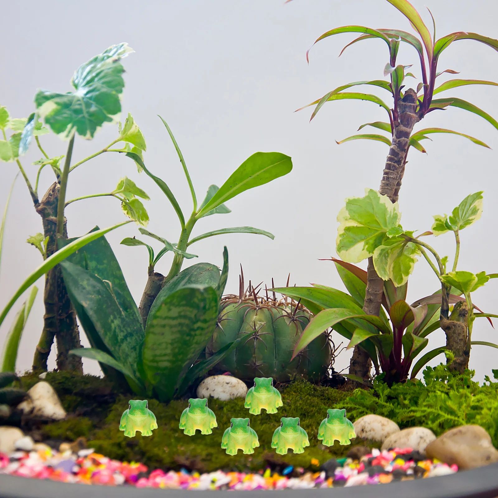 20Pcs Adorable Frog Statues Resin Garden Decorations Light Weight Compact Size Flowerpot Patio Tree Flower Bed Decoration
20Pcs Adorable Frog Statues Resin Garden Decorations Light Weight Compact Size Flowerpot Patio Tree Flower Bed Decoration