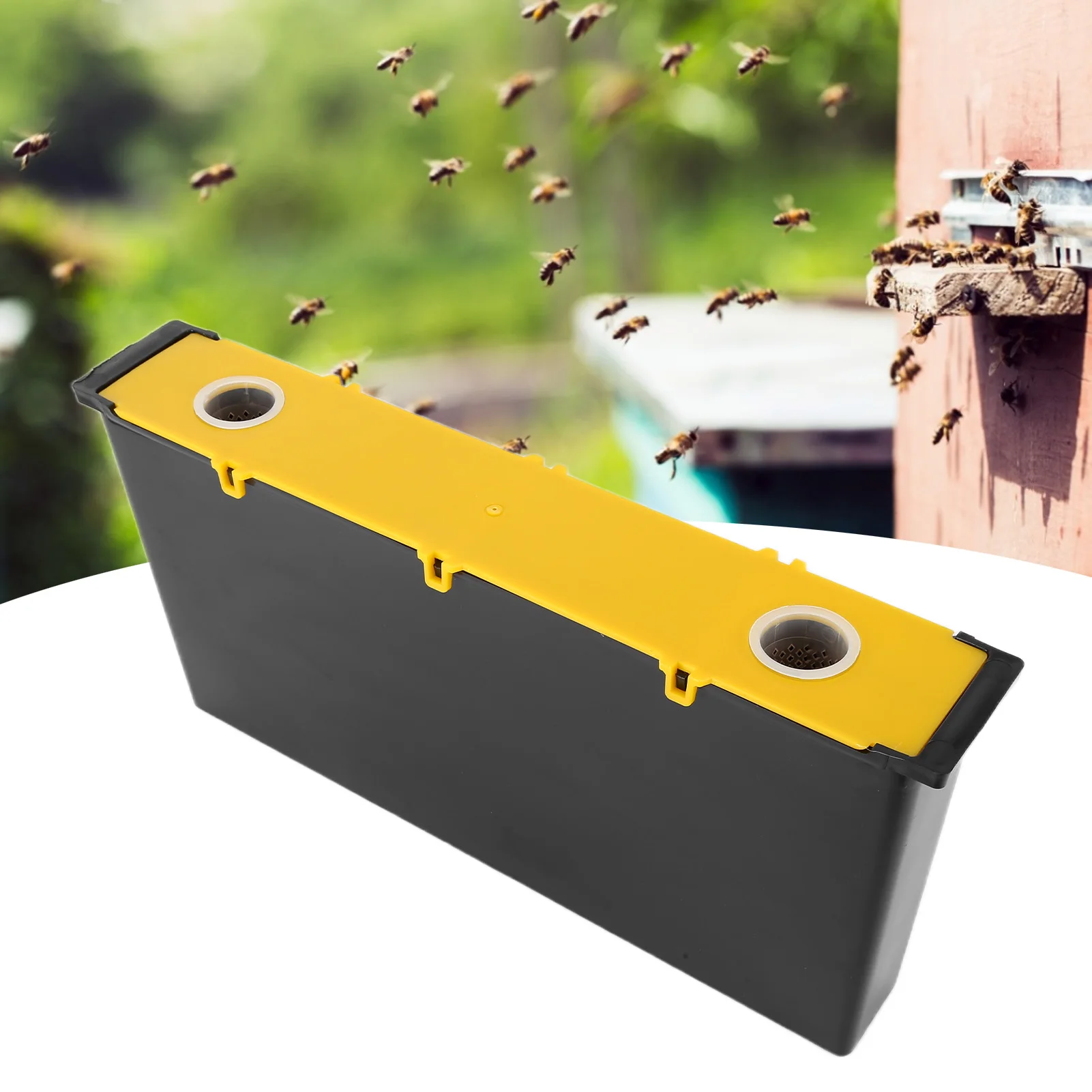 6L Plastic Frame Feeder Bee Syrup Water Food Feeder Bee Feeding Tools Beekeeping Supplies Bee Water Feeder Beekeeping Equipment
6L Plastic Frame Feeder Bee Syrup Water Food Feeder Bee Feeding Tools Beekeeping Supplies Bee Water Feeder Beekeeping Equipment