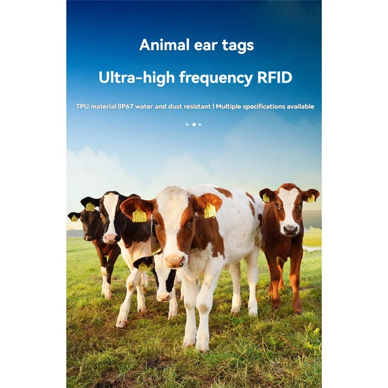 【Livraison Rapide】100Pcs RFID Animal Ear Tag UHF Electronic Ear Tag 860-960Mhz Animal Tracking For Pig Sheep Pig Goat Cattle RFI
【Livraison Rapide】100Pcs RFID Animal Ear Tag UHF Electronic Ear Tag 860-960Mhz Animal Tracking For Pig Sheep Pig Goat Cattle RFI