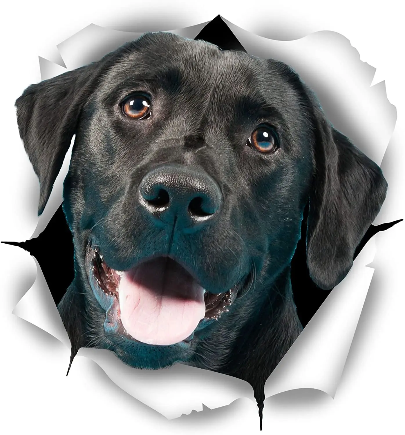Cute Pet Dog Personality Car Sticker Cross Country Diesel Car Motorcycle Auto Parts Refrigerator Decoration Car Fun Decal PVC
Cute Pet Dog Personality Car Sticker Cross Country Diesel Car Motorcycle Auto Parts Refrigerator Decoration Car Fun Decal PVC