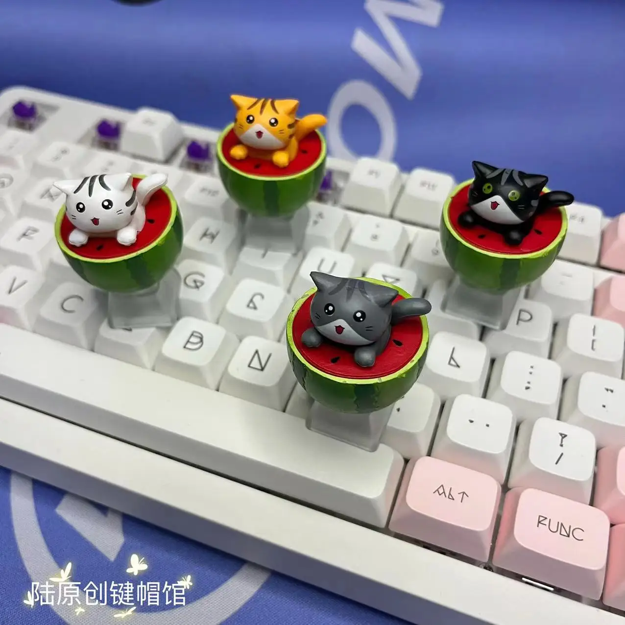Creative Food Summer Watermelon Smile Cat Keycap DIY Decoration Cross Axis Light Transmitting Mechanical Keycap
Creative Food Summer Watermelon Smile Cat Keycap DIY Decoration Cross Axis Light Transmitting Mechanical Keycap