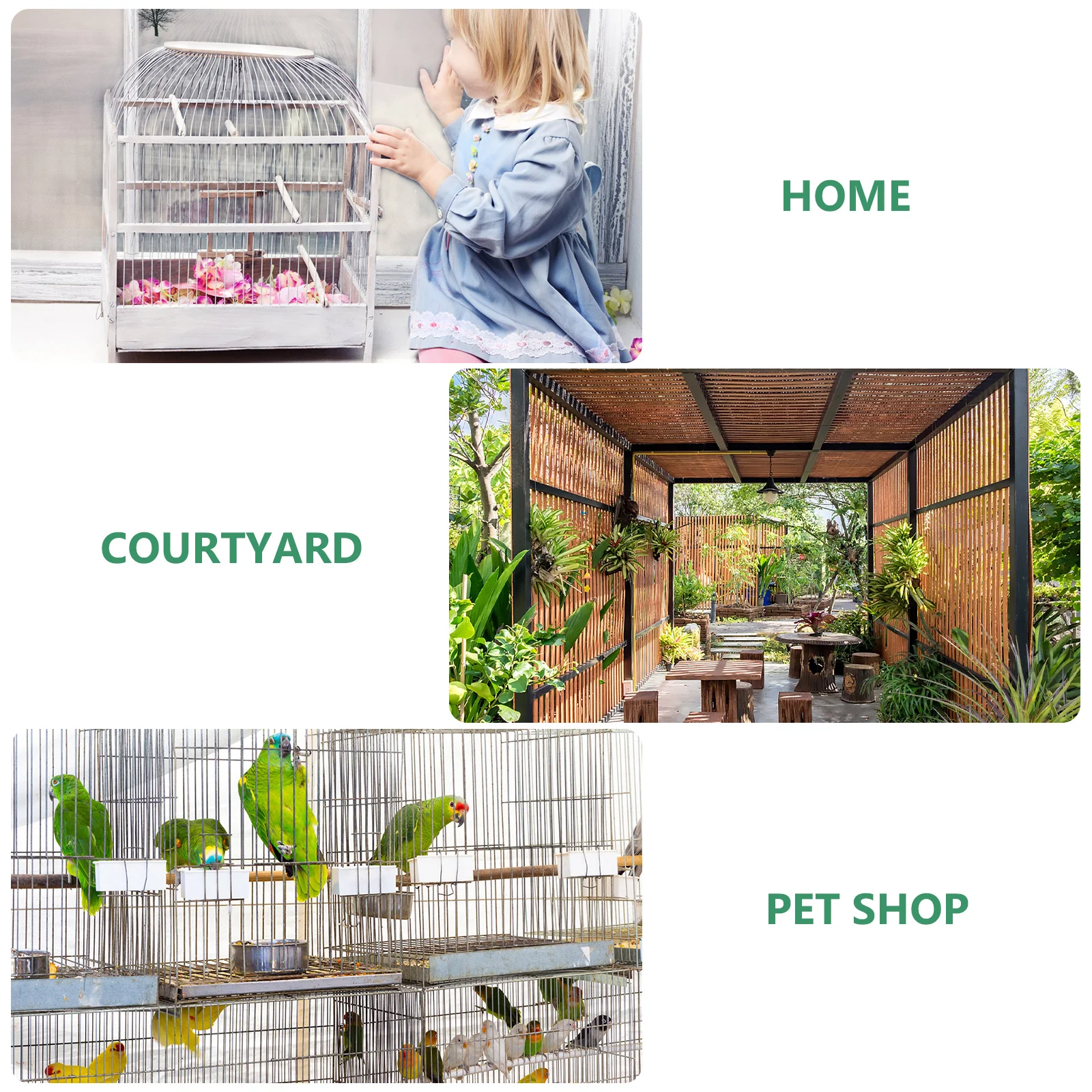 Bird Water Bowl Automatic Drinker for Pigeon Quail Parrot Pet Cage Feeder Bottle Drinking System Drip
Bird Water Bowl Automatic Drinker for Pigeon Quail Parrot Pet Cage Feeder Bottle Drinking System Drip