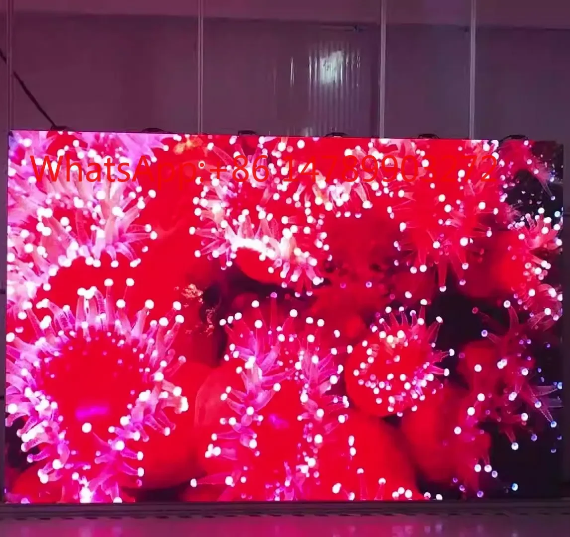 Factory Price Stage LED Rental Screen 500500/5001000mm IP65 Waterproof High Brightness Modular Outdoor LED Wall Panel
Factory Price Stage LED Rental Screen 500500/5001000mm IP65 Waterproof High Brightness Modular Outdoor LED Wall Panel