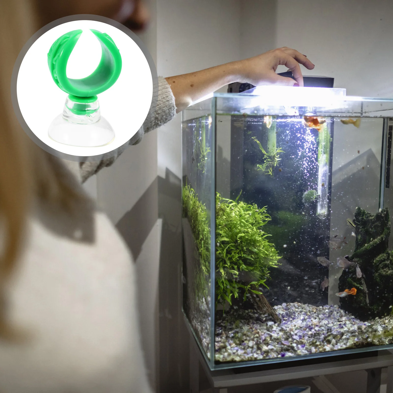 4Pcs Transparent Aquarium Suction Cup Clamp Feeder Tube Holder Clip Fish Tank Feeder Tube Clamp Aquarium Holder
4Pcs Transparent Aquarium Suction Cup Clamp Feeder Tube Holder Clip Fish Tank Feeder Tube Clamp Aquarium Holder