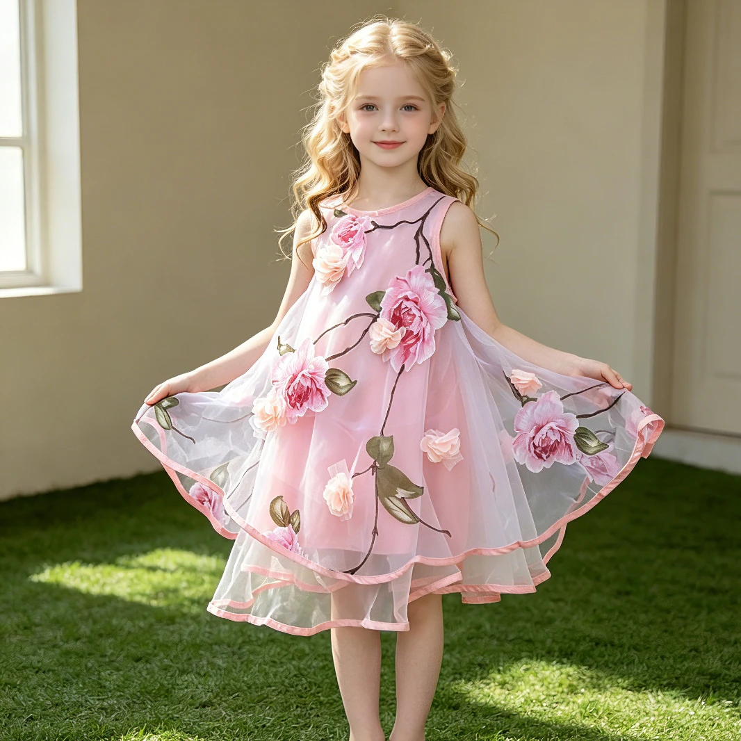 Toddler Girls Elegant Flower Princess Dress, Pink Sheer Mesh Sleeveless A-Line Gown, Wedding Birthday Party Dress, 2-8 Years
Toddler Girls Elegant Flower Princess Dress, Pink Sheer Mesh Sleeveless A-Line Gown, Wedding Birthday Party Dress, 2-8 Years