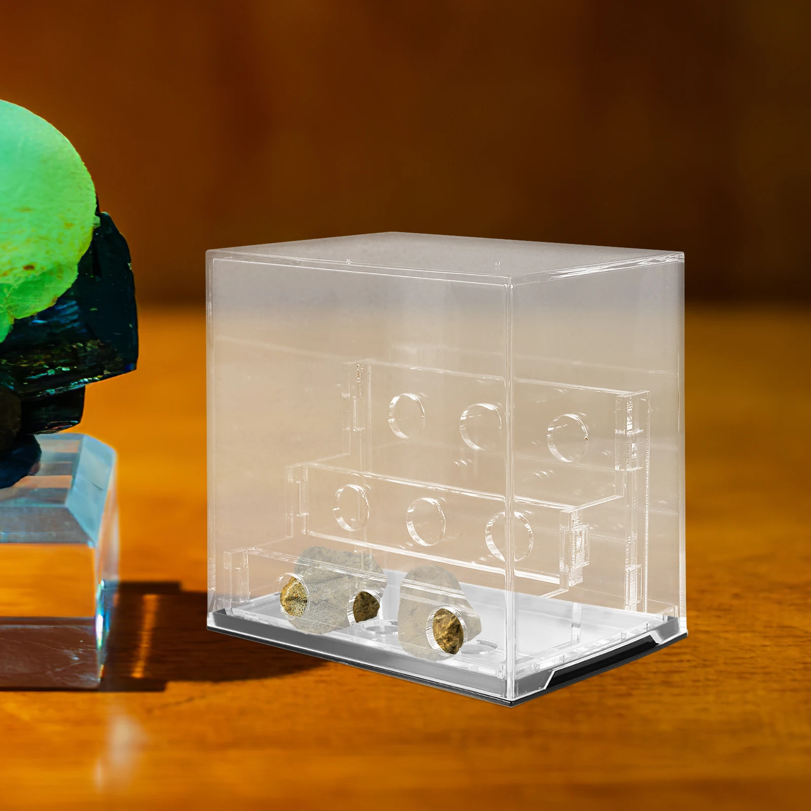 Specimen Display Box Clear Acrylic Case for Rocks Crystals Shells Storage Boxes Countertop Exhibits 
Specimen Display Box Clear Acrylic Case for Rocks Crystals Shells Storage Boxes Countertop Exhibits
