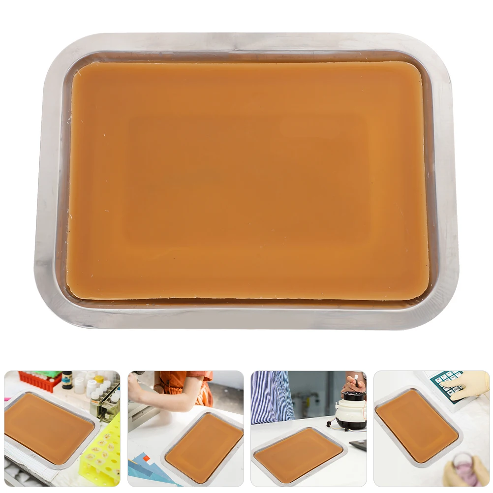 2 Pcs Metal Anatomy Tray Student Laboratory Organizer Trays Wax Dissection Dissecting
2 Pcs Metal Anatomy Tray Student Laboratory Organizer Trays Wax Dissection Dissecting