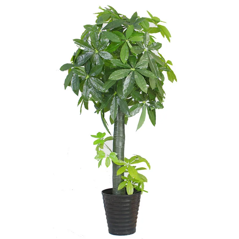 LH fake fortune tree simulation plant lucky potted plant living room ornament interior decoration landscaping
LH fake fortune tree simulation plant lucky potted plant living room ornament interior decoration landscaping