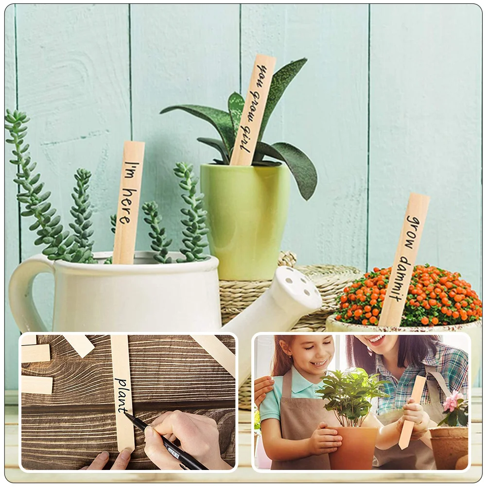 50 Pcs Plant Signage Nursery Garden Markers Gardening Labels for Vegetable Flower Plants Decorations Signs
50 Pcs Plant Signage Nursery Garden Markers Gardening Labels for Vegetable Flower Plants Decorations Signs