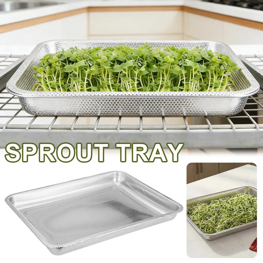 Filter Sprouting Tray Heavy-Duty Reusable Cultivation Stainless Steel Plant Germination Trays For Hydroponics Transplantation
Filter Sprouting Tray Heavy-Duty Reusable Cultivation Stainless Steel Plant Germination Trays For Hydroponics Transplantation 