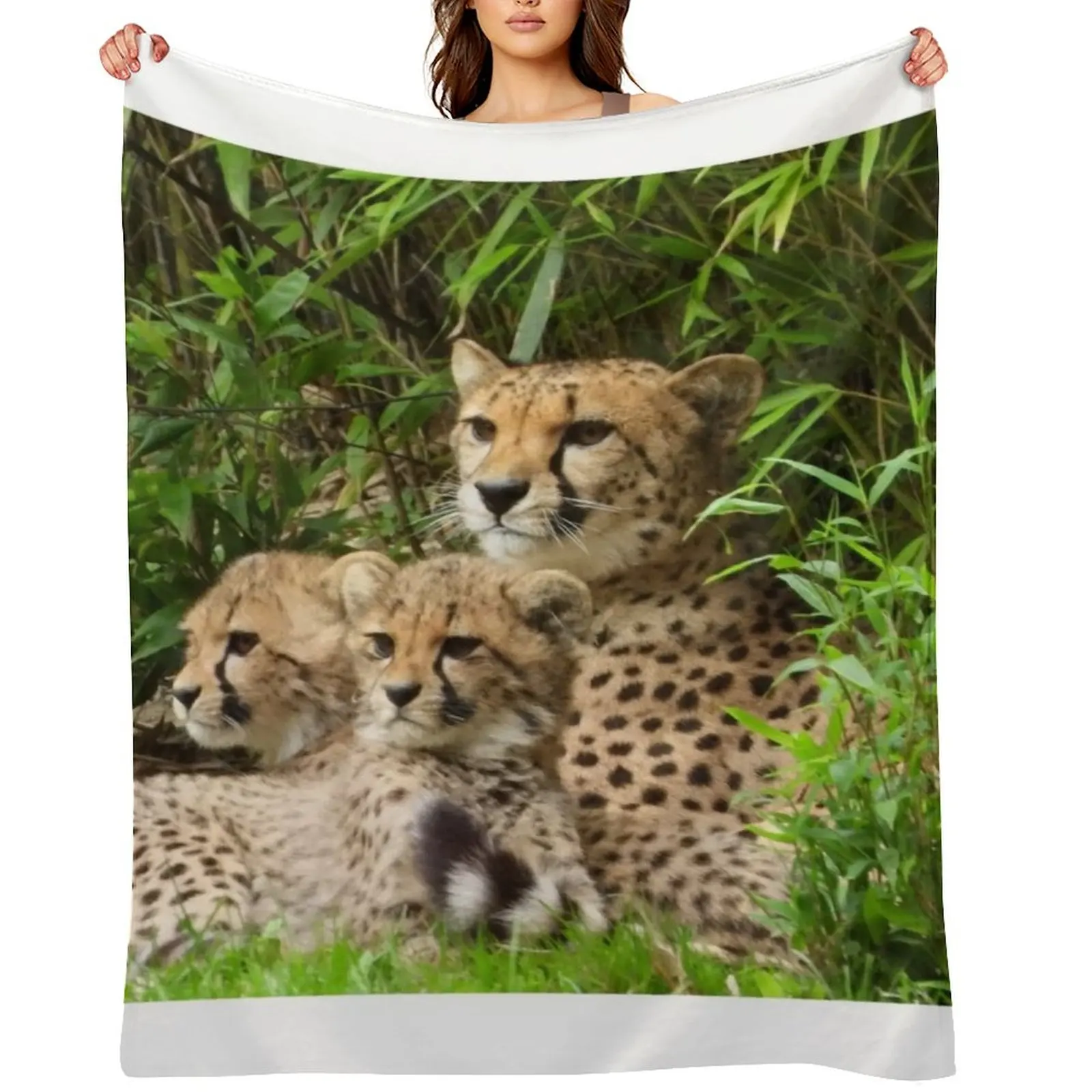 A Beautiful Cheetah With Her Two Cubs Throw Blanket Multi-Purpose for winter decorative Soft Plush Plaid Blankets
A Beautiful Cheetah With Her Two Cubs Throw Blanket Multi-Purpose for winter decorative Soft Plush Plaid Blankets