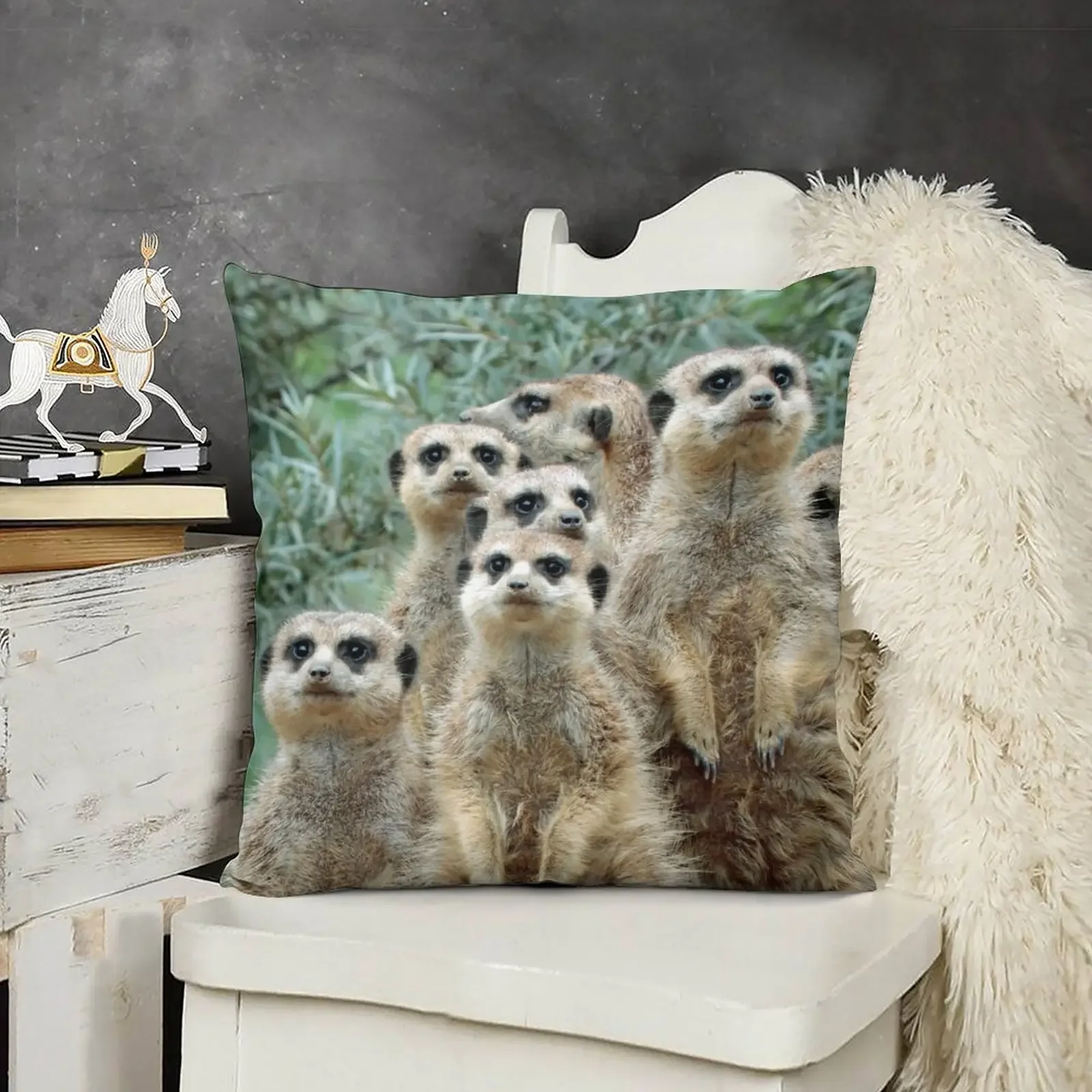 Meerkat 012 Throw Pillow luxury decor Cushions Home Decor Throw Pillow Sofa Covers For Living Room pillow
Meerkat 012 Throw Pillow luxury decor Cushions Home Decor Throw Pillow Sofa Covers For Living Room pillow