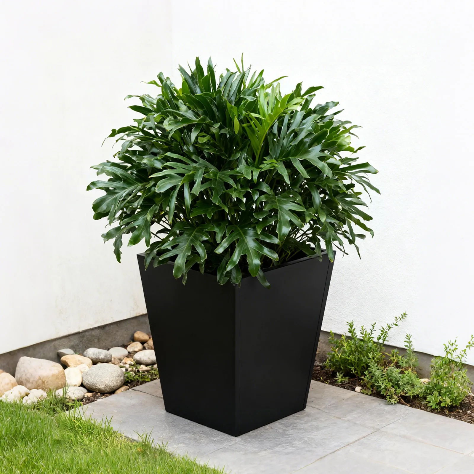 Черный железный 16x16x18 дюймов конический металлический цветочный горшок большой ящик для посадки растений большой емкости цветочный горшок
Черный железный 16x16x18 дюймов конический металлический цветочный горшок большой ящик для посадки растений большой емкости цветочный горшок